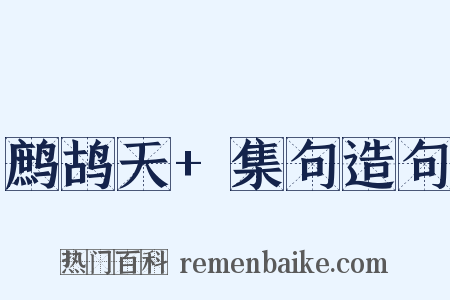 鹧鸪天+集句造句是什么意思的图片